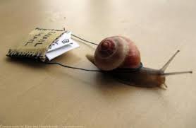 Snail Mail Image.jpeg